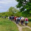 NaturFreunde Strausberg Wanderung im NSG Biesenhorster Sand NaturFreunde Strausberg Wanderung im NSG Biesenhorster Sand