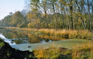 Natura 2000 Gebiet Natura 2000 Gebiet